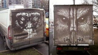 Umělec kreslí nádherné obrazy na špinavá auta 1