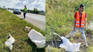 Masakr na dálnici D5. Šofér kamiónu se před ostatními řidiči snažil zachránit rodinu labutí