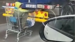 Muž se v nákupním vozíku řítil po dálnici za cisternou s benzinem a dělal posměšky na ostatní řidiče