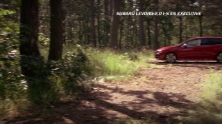 Test Subaru Levorg