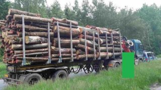 kamion se dřevem