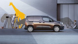 Opel Combo Van 2018