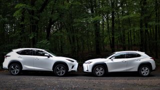 Lexus UX vs. NX