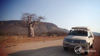 Cesta plná baobabů I