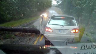 Padající strom při hurikánu Irma minul auto jen o 