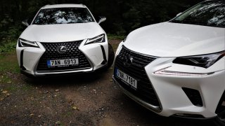 Lexus UX vs. Lexus NX
