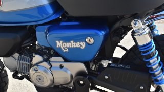 Honda Monkey