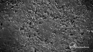 Mikroskopický záběr laku nechráněného 5000 x zvětš