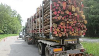 kamion se dřevem