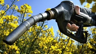 Nafta bez biosložky: Kde natankovat palivo, které nepoškozuje motor?