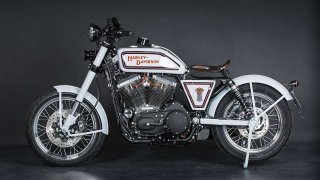 Harley-Davidson_custom