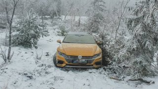 Krádež, nebo zastírání ostudy? Volkswagen Arteon zapadlý v lese pod Jedlovou horou baví internet