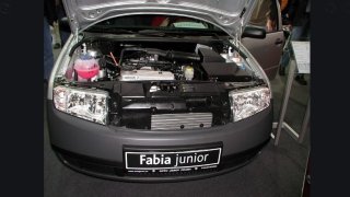 Škoda Fabia Junior