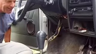 Had prolezl z motoru otvorem pod volantem.