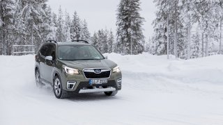 Subaru Forester e-Boxer 2020 Laponsko