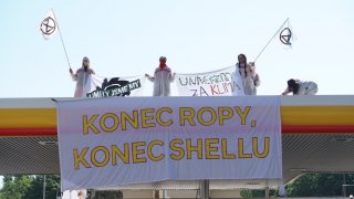 Protest Shell