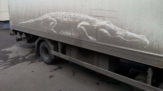 Umělec kreslí nádherné obrazy na špinavá auta 4